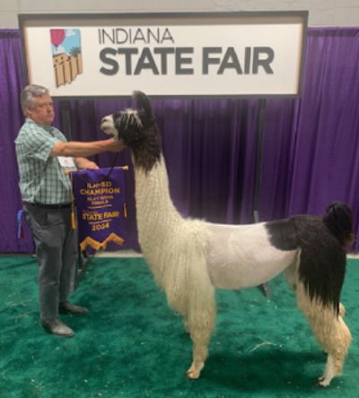 Image of Mark Foerder